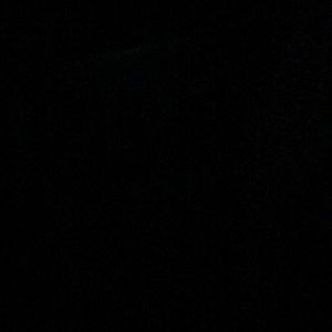 Meet your Posher, Ani